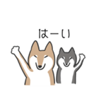 柴犬スタンプ（日常会話）（個別スタンプ：23）