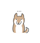 柴犬スタンプ（日常会話）（個別スタンプ：26）