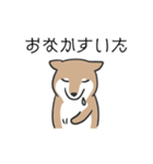 柴犬スタンプ（日常会話）（個別スタンプ：27）