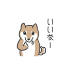 柴犬スタンプ（日常会話）（個別スタンプ：28）