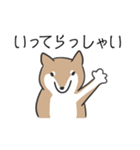 柴犬スタンプ（日常会話）（個別スタンプ：29）