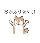 柴犬スタンプ（日常会話）（個別スタンプ：31）