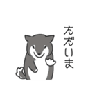 柴犬スタンプ（日常会話）（個別スタンプ：32）