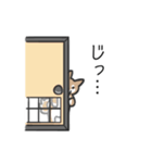 柴犬スタンプ（日常会話）（個別スタンプ：33）