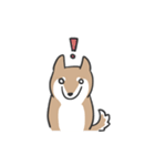 柴犬スタンプ（日常会話）（個別スタンプ：35）