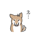 柴犬スタンプ（日常会話）（個別スタンプ：36）
