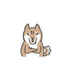 柴犬スタンプ（日常会話）（個別スタンプ：39）