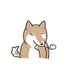 柴犬スタンプ（日常会話）（個別スタンプ：40）