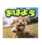 飛び出す★リアル犬にズームイン！（個別スタンプ：2）