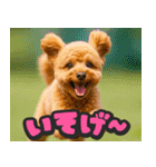飛び出す★リアル犬にズームイン！（個別スタンプ：5）