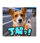 飛び出す★リアル犬にズームイン！（個別スタンプ：6）