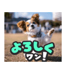 飛び出す★リアル犬にズームイン！（個別スタンプ：7）