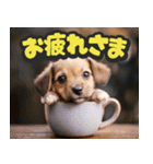 飛び出す★リアル犬にズームイン！（個別スタンプ：8）