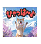 飛び出す★リアル犬にズームイン！（個別スタンプ：18）