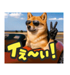 飛び出す★リアル犬にズームイン！（個別スタンプ：19）