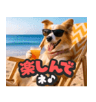 飛び出す★リアル犬にズームイン！（個別スタンプ：23）