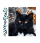 飛び出す★冬を感じる黒猫_挨拶（個別スタンプ：3）