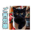 飛び出す★冬を感じる黒猫_挨拶（個別スタンプ：7）
