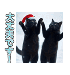 飛び出す★冬を感じる黒猫_挨拶（個別スタンプ：11）