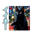 飛び出す★冬を感じる黒猫_挨拶（個別スタンプ：12）
