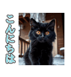 飛び出す★冬を感じる黒猫_挨拶（個別スタンプ：13）