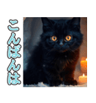 飛び出す★冬を感じる黒猫_挨拶（個別スタンプ：14）