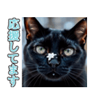飛び出す★冬を感じる黒猫_挨拶（個別スタンプ：17）
