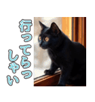 飛び出す★冬を感じる黒猫_挨拶（個別スタンプ：19）