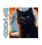 飛び出す★冬を感じる黒猫_挨拶（個別スタンプ：20）