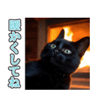 飛び出す★冬を感じる黒猫_挨拶（個別スタンプ：21）