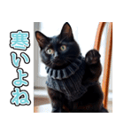 飛び出す★冬を感じる黒猫_挨拶（個別スタンプ：22）