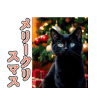 飛び出す★冬を感じる黒猫_挨拶（個別スタンプ：23）