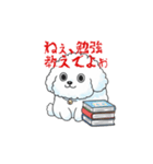 感情が読めないサイコな犬（個別スタンプ：10）