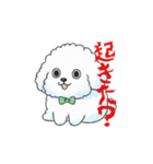 感情が読めないサイコな犬（個別スタンプ：19）