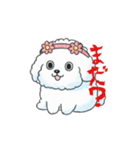 感情が読めないサイコな犬（個別スタンプ：20）