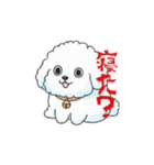 感情が読めないサイコな犬（個別スタンプ：29）