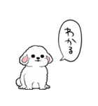 しゃべる犬(ビションフリーゼ)（個別スタンプ：1）