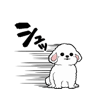しゃべる犬(ビションフリーゼ)（個別スタンプ：3）