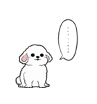 しゃべる犬(ビションフリーゼ)（個別スタンプ：4）
