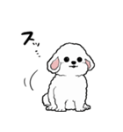 しゃべる犬(ビションフリーゼ)（個別スタンプ：5）
