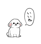 しゃべる犬(ビションフリーゼ)（個別スタンプ：7）