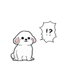 しゃべる犬(ビションフリーゼ)（個別スタンプ：8）