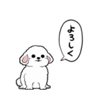 しゃべる犬(ビションフリーゼ)（個別スタンプ：9）