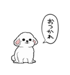 しゃべる犬(ビションフリーゼ)（個別スタンプ：10）