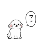 しゃべる犬(ビションフリーゼ)（個別スタンプ：11）