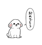 しゃべる犬(ビションフリーゼ)（個別スタンプ：15）