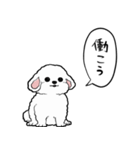 しゃべる犬(ビションフリーゼ)（個別スタンプ：17）