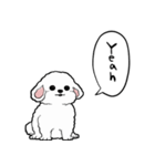 しゃべる犬(ビションフリーゼ)（個別スタンプ：19）