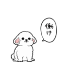 しゃべる犬(ビションフリーゼ)（個別スタンプ：20）