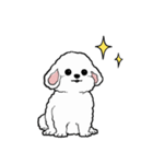 しゃべる犬(ビションフリーゼ)（個別スタンプ：21）